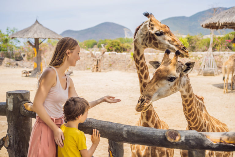 attractions-dynamic-pricing-zoo-photo